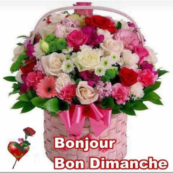 noelcambronne